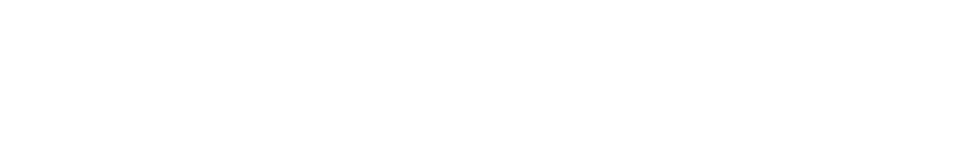 Drone-Works-Latvia-Logo